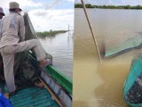 ខណ្ឌរដ្ឋបាលជលផលកំពង់ឆ្នាំងបន្តសកម្មភាពល្បាត បង្ក្រាបបទល្មើស នេសាទប្រើឧបករណ៍របាំងស្បៃមុងនៅចំនុចបឹងធំ ក្នុងភូមិកំពង់បាស្រូវ ឃុំជលសា ស្រុកជលគិរី និងបានបំផ្លាញវត្ថុតាងនៅនឹងកន្លែង