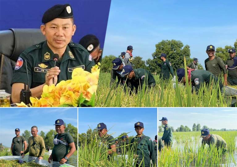 ​លោក​ឧត្តមសេនីយ៍ទោ សិទ្ធិ ឡោះ បញ្ជូន​កម្លាំង​នគរបាល​ប៉ុស្តិ៍​ទាំង​៧​សង្កាត់ ចុះជួយ​ច្រូតស្រូវ​ប្រជាពលរដ្ឋ នៅ​ក្រុង​សិរីសោភ័ណ ដែល​កំពុង​ជន់​លិច​!